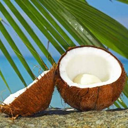 Island Coconut