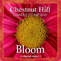 Bloom Chestnut Hill – Tart