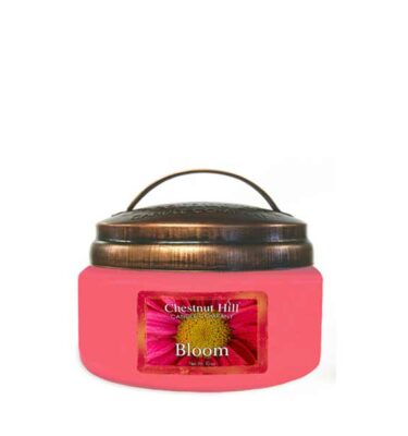 Bloom Chestnut Hill – Giara Media