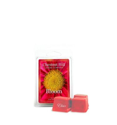 Bloom Chestnut Hill – Tart