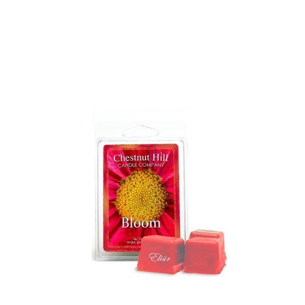 Bloom Chestnut Hill - Tart 1 Bloom Chestnut Hill - Tart