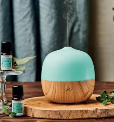 Diffusore a Ultrasuoni Nasoterapia – Berry