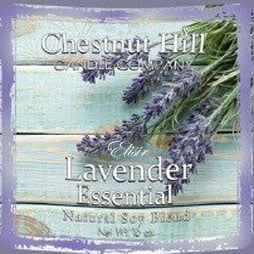 Lavender Essential Chestnut Hill – Giara Media