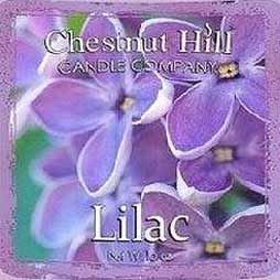 Lilac Chestnut Hill – Giara Media