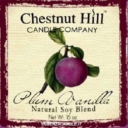 Plum Vanilla Chestnut Hill – Giara Grande