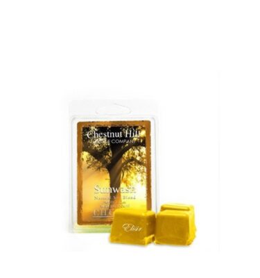 Sunwash Chestnut Hill – Tart