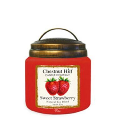 Sweet Strawberry Chestnut Hill – Giara Grande