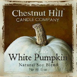 White Pumpkin Chestnut Hill – Tart