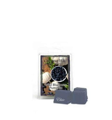 Wild Blueberry Pumpkin Chestnut Hill – Tart