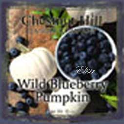 Wild Blueberry Pumpkin Chestnut Hill – Giara Grande