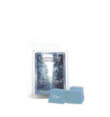 Winter Wonderland Chestnut Hill – Tart