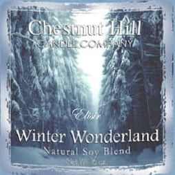 Winter Wonderland Chestnut Hill – Tart