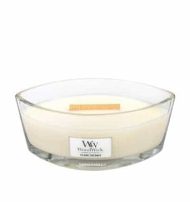 Island Coconut Woodwick – Candela Ellipse