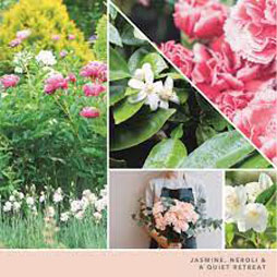 Offerte e Promozioni 28 Tranquil Garden Yankee Candle – Tart