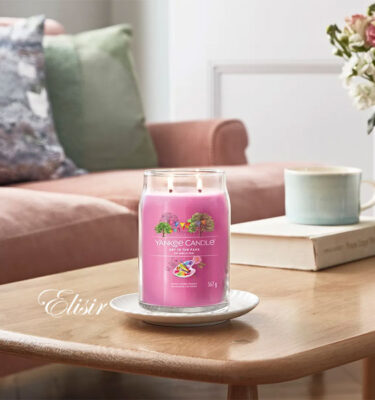 Art in The Park Yankee Candle – Candela Grande Signature