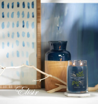 Bayside Cedar Yankee Candle – Candela Grande Signature