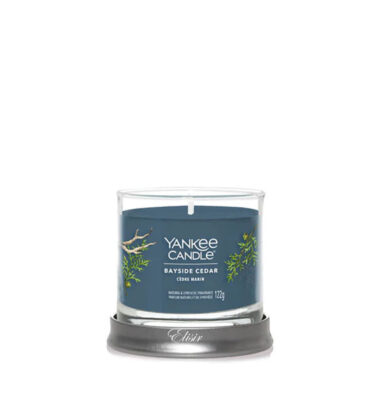 Bayside Cedar Yankee Candle – Candela Tumbler Piccola Signature