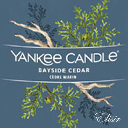 Bayside Cedar